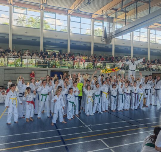 BBSL Dillingen 2026
